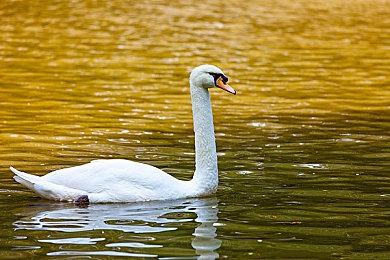 分析称《最终幻想7：重生》已售出至少200万份 不及前作