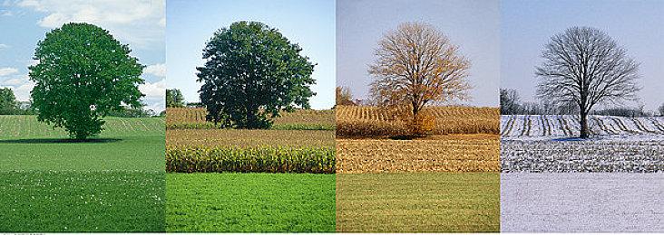 Rougelike弹幕射击地牢探索游戏《附魔师》Steam页面开放 年内发售